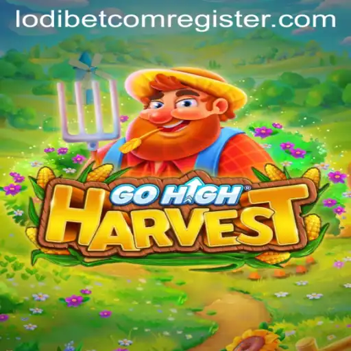 GoHighHarvest: A New Adventure Awaits